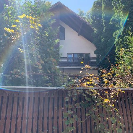 Timi Residence บราชอฟ ภายนอก รูปภาพ