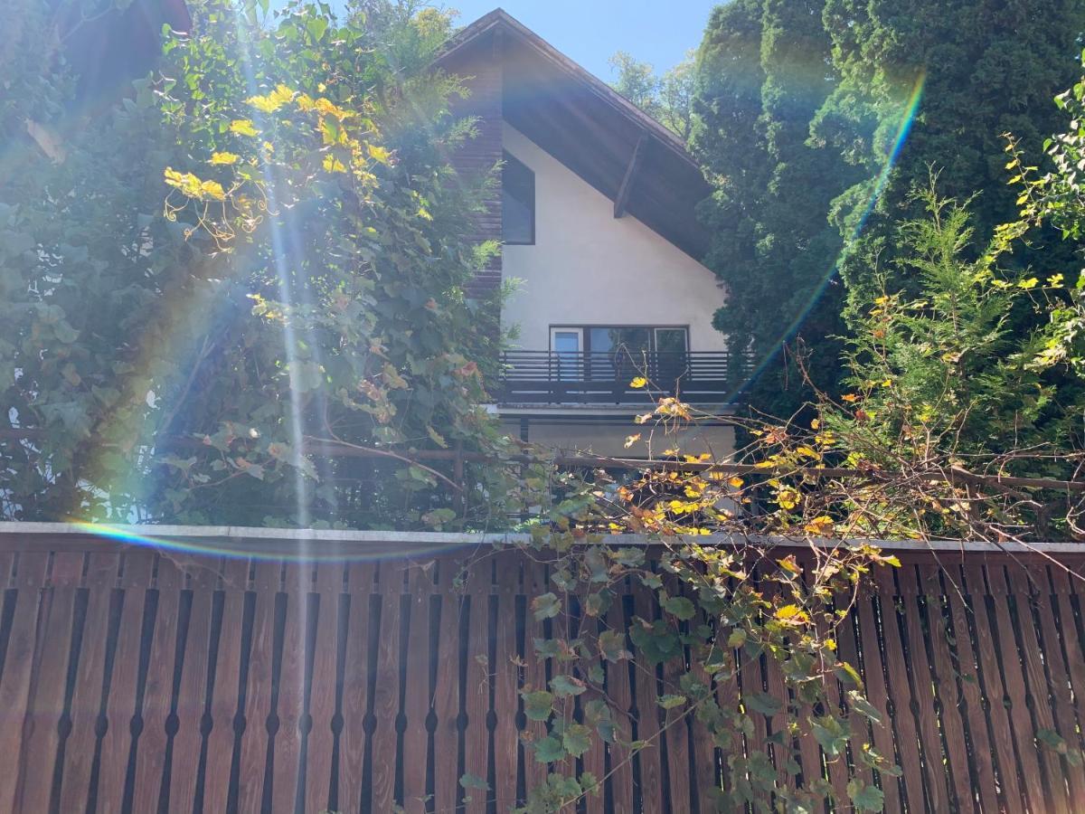 Timi Residence บราชอฟ ภายนอก รูปภาพ
