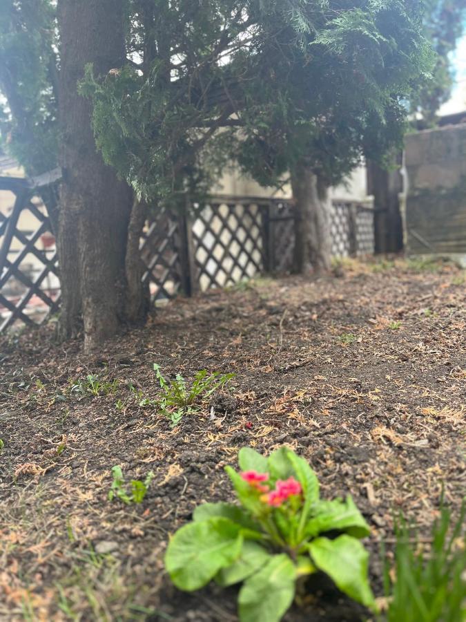 Timi Residence บราชอฟ ภายนอก รูปภาพ